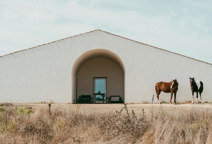 A whitewashed house with horses, Comporta