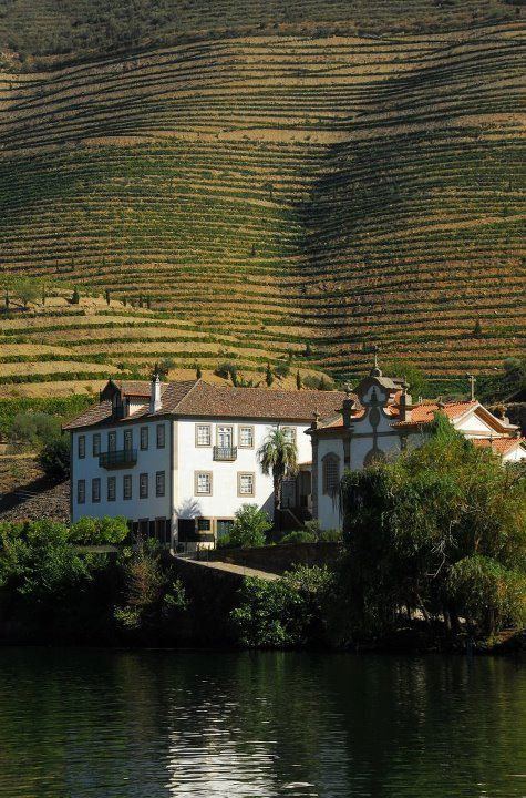 A historic white quinta on the riverbank, terraced vineyards rising behind, Douro