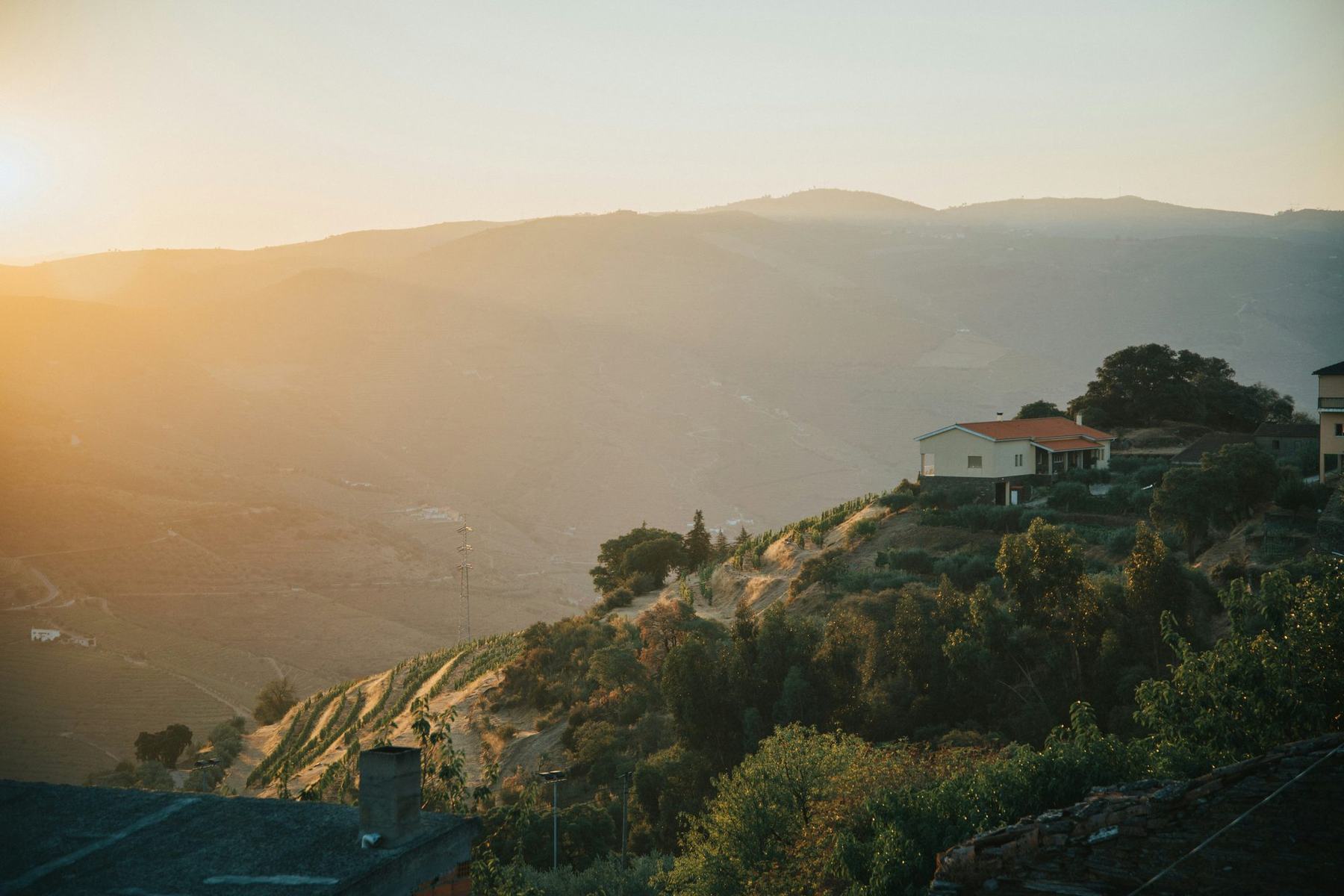Mist over the Douro valley at dawn