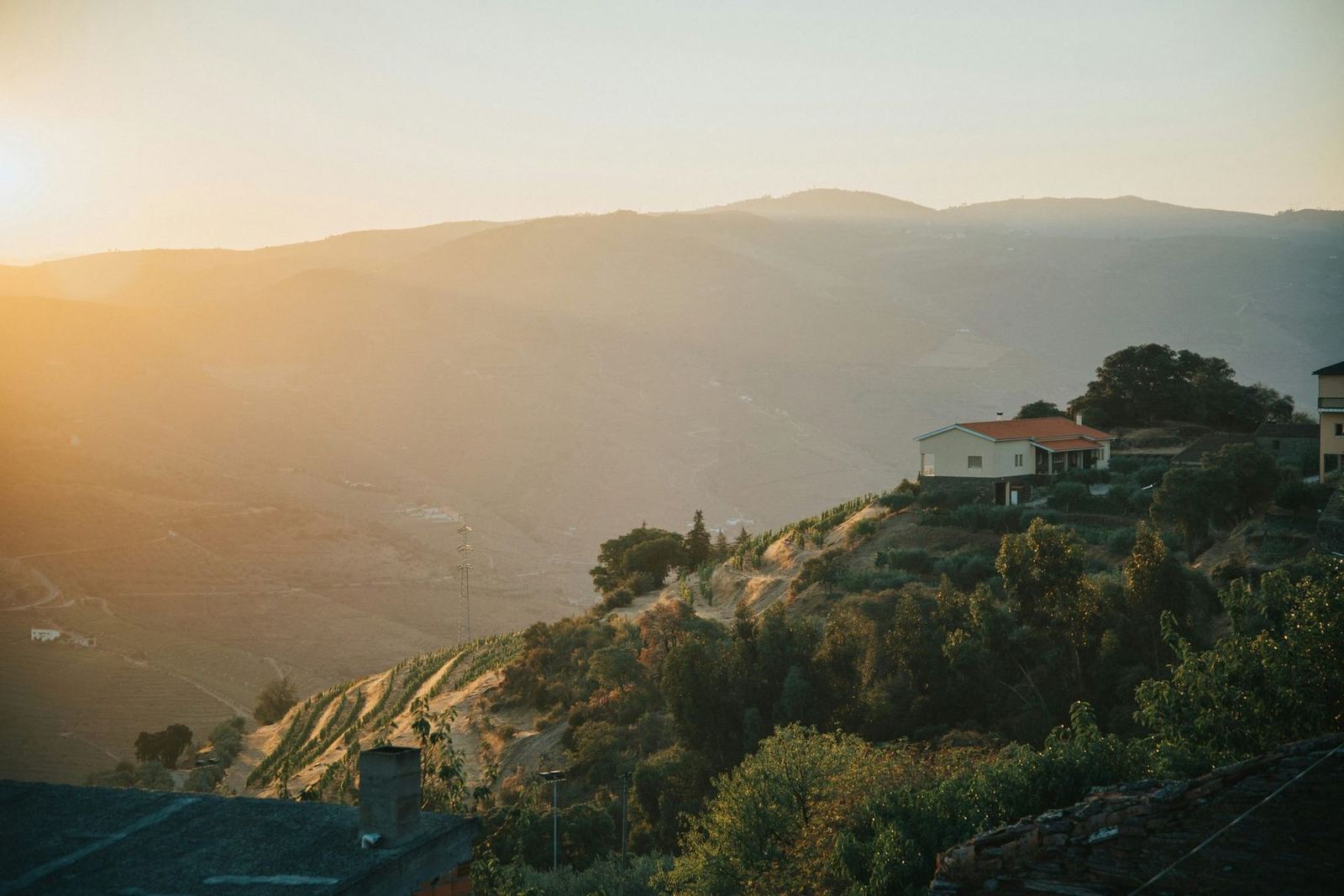 A quinta on the ridge at golden hour, terraces falling into the valley
