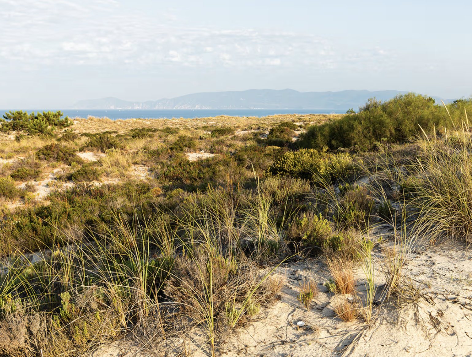 Dunes and the sea, with the Arrábida hills on the horizon