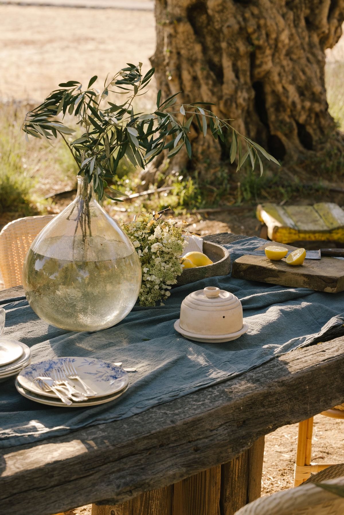 A table set under an olive tree, a glass carafe with olive branches